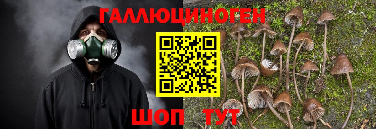 Галлюциногенные грибы MAGIC MUSHROOMS  Галлюциногенные грибы Psilocybine cubensis  Вход с VPN  Железногорск 